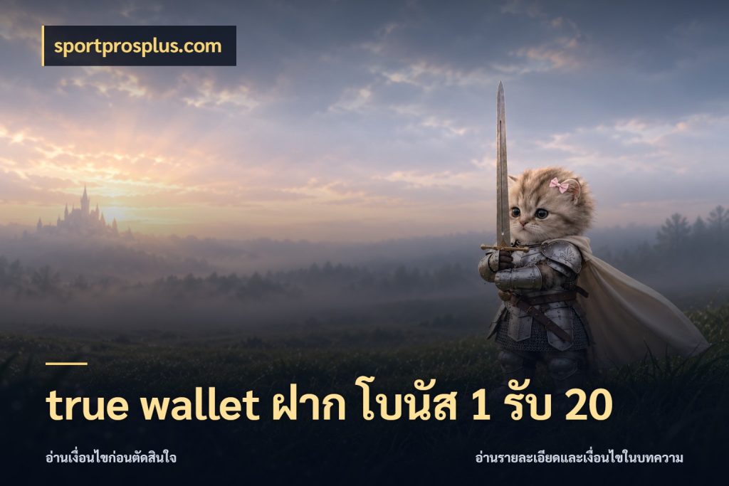 true wallet ฝาก โบนัส 1 รับ 20 ยอดฝากและยอดรับในมุมของคนชอบลุ้น ในมุม sportprosplus.com