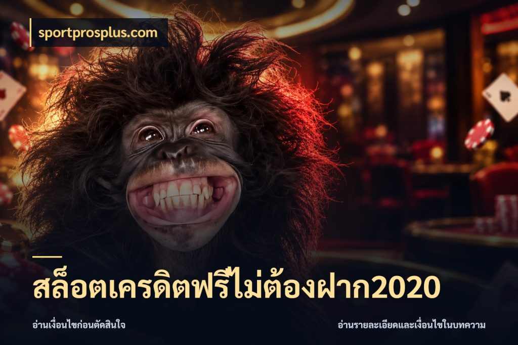 สล็อตเครดิตฟรีไม่ต้องฝาก2020 ชนิดเครดิตกับสิทธิ์ที่คุณอยากรู้ ในมุม sportprosplus.com