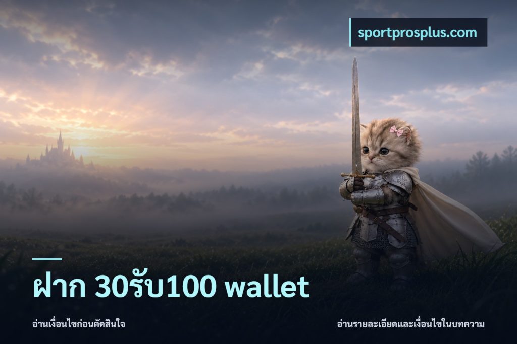 ฝาก 30รับ100 wallet